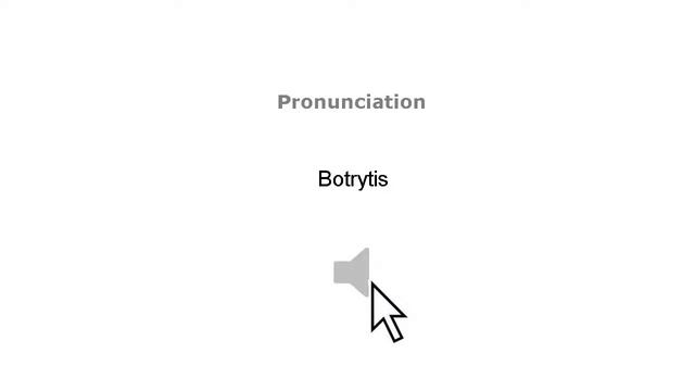 BOTRYTIS meaning in English | Whats the Meaning of BOTRYTIS Definition, Synonyms and use смотреть онлайн