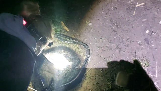 Рыбалка на Волге летом #2 смотреть онлайн