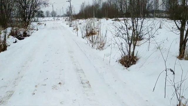 Кормлю бездомную собаку. Кошке не понравился снег. 30.12.2020 смотреть онлайн