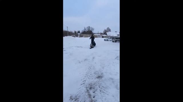 Мотоснегокат "Дамано" смотреть онлайн