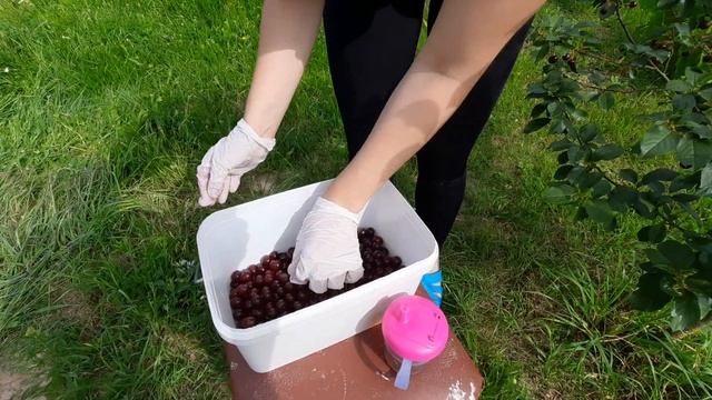 15.07-21.07.20/ВЫШИВКА/ХИМЕРЮ "АМСТЕРДАМ ЗИМОЙ"76%/АННА АНАНЧИК смотреть онлайн