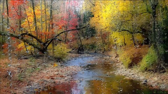 Rain And Native American Flute 2 - Shamanic Dream