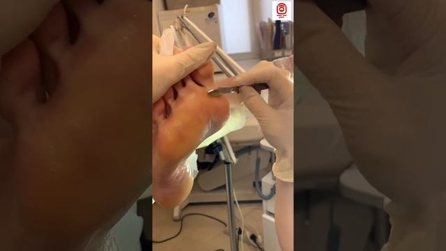 Фани смотреть онлайн