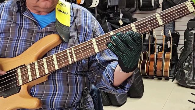 Bon Jovi.It's My Life (Bass Cover)