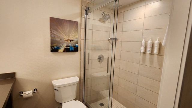 Houston Airport Marriott at George Bush смотреть онлайн