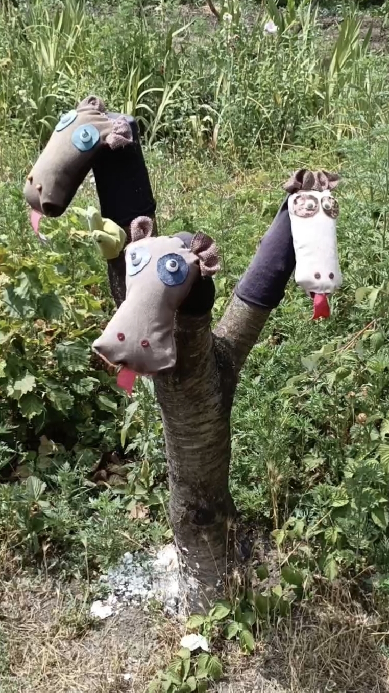 Змей Горыныч. смотреть онлайн