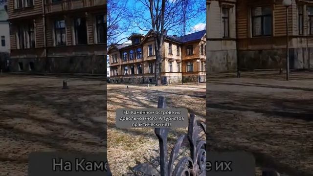 Где найти старинные деревянные особняки в Петербурге? Каменный остров смотреть онлайн