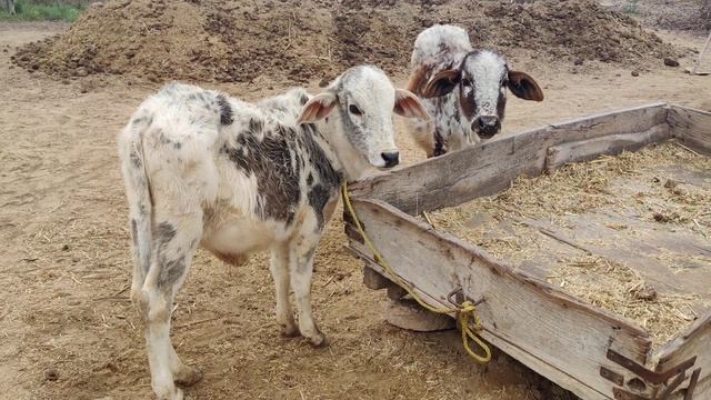 OnePlus 9 Pro 8K Camera Video Test|OnePlus 9 Pro Camera Test смотреть онлайн