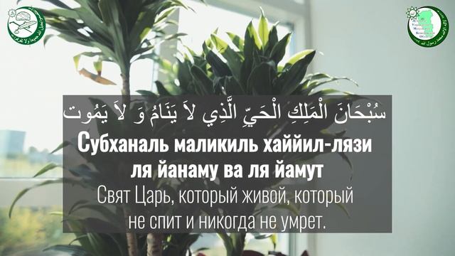 Тасбих таравих намаза. С переводом на русский язык.Читает хафиз Иноятулло Раупов. смотреть онлайн