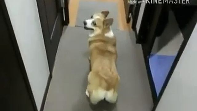 Все песни которые были модные смотреть онлайн
