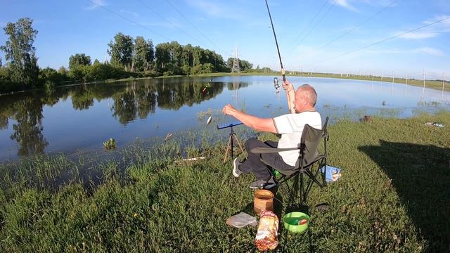 Карась на поплавок летом. Тёпло и комфортно,вечерняя рыбалка. 12.06.2024 г. смотреть онлайн
