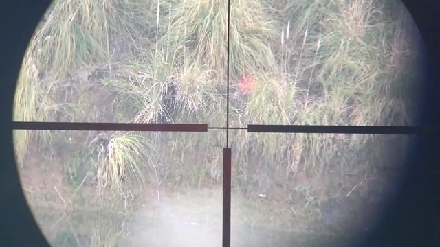 PCP пневматика .2 выстрела - две утки. смотреть онлайн