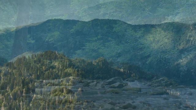 RadiantTV • Relaxing Music & Nature • Rest & Worship • Collection 1 смотреть онлайн