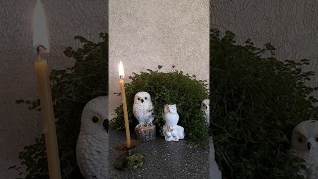 ЧТОБЫ НЕ ПЕРЕНЯТЬ НА СЕБЯ ПОРЧУ смотреть онлайн