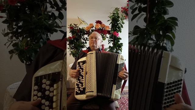 Лебеди. смотреть онлайн