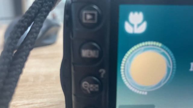 Canon d3100 смотреть онлайн