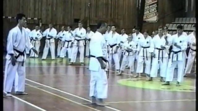 Окинавское карате Практический курс 2 часть 34 смотреть онлайн