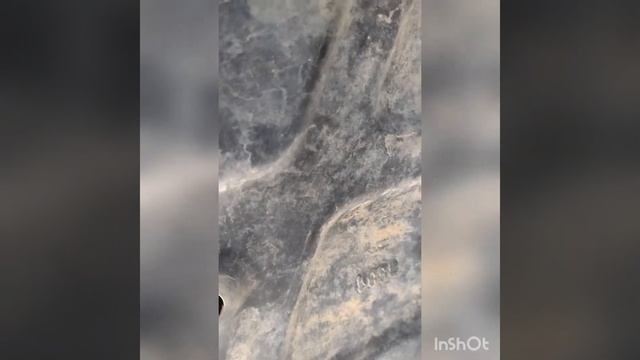 2005 Scion XB manual transmission fluid change using Lucas 75w-90 (2 qts .) смотреть онлайн