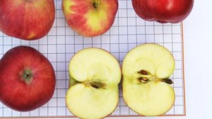 Аксёна - сорт яблони