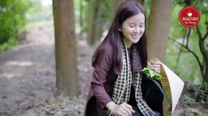 NỘI TÔI, CHIM TRẮNG MỒ CÔI ➤ Lk Nhạc Dân Ca Miền Tây Chọn Lọc ➤ Nhạc Sến Trữ Tình Quê Hương Miền Tâ