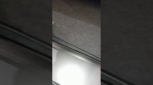 honda freed с автобоксом тритон