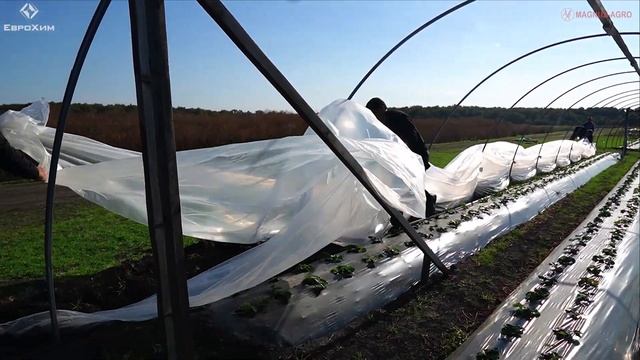 Как пережить снежную зиму - Лучший способ натянуть и сохранить пленку на теплицу и балаганы смотреть онлайн