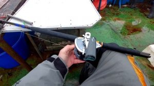 Рыбалка на треску. (Баренцево море). [Дальние Зеленцы].