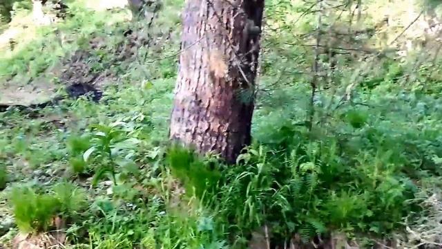 Парение в русской бане. Контраст. Сила духа. смотреть онлайн