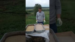 Разведение опарыша