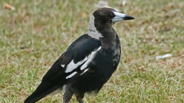 Красивая расслабляющая музыка! сильная положительная энергия! бодрящая утренняя медитационная музык смотреть онлайн