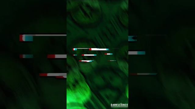 САМЫЙ УСПЕШНЫЙ ХОМЯК ТРЕЙДЕР смотреть онлайн