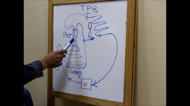 Работа авто кондиционера donavtoholod.ru смотреть онлайн