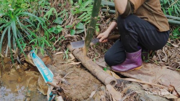 Resolving Conflicts With Two Wives, Bring Water To The Pond, Gardening - Peaceful Live With Nature