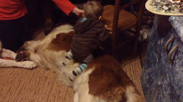 Миха лезет на стол смотреть онлайн