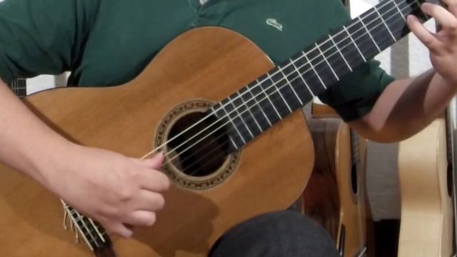 Cantar de mi pago - Abel Fleury смотреть онлайн