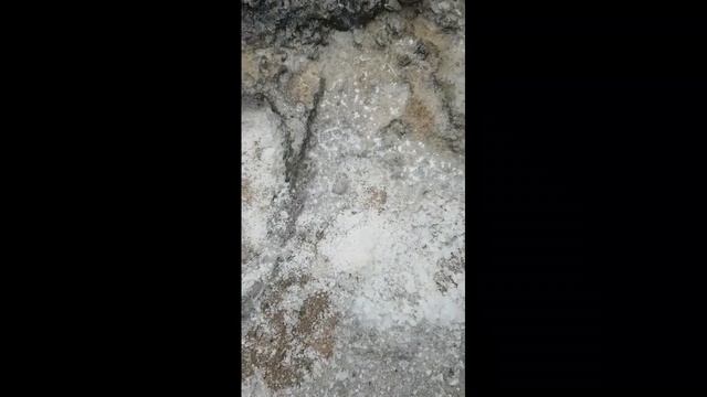 Salt (соль) смотреть онлайн