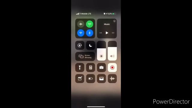 Tibetan mastiff | World's biggest dog ? смотреть онлайн