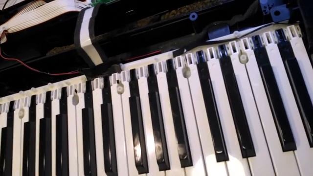 CDP-130 CASIO выломана клавиша