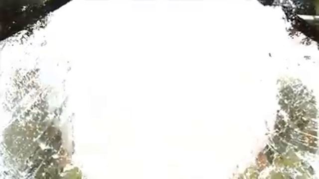 Реакция расплавленной соли (800°C) и воды