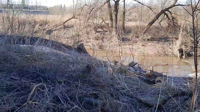 07.04.2023г. Ильинский рубеж-подвиг Подольских Курсантов. смотреть онлайн