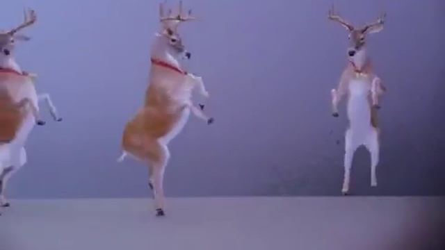 Noël Dance des Rennes смотреть онлайн