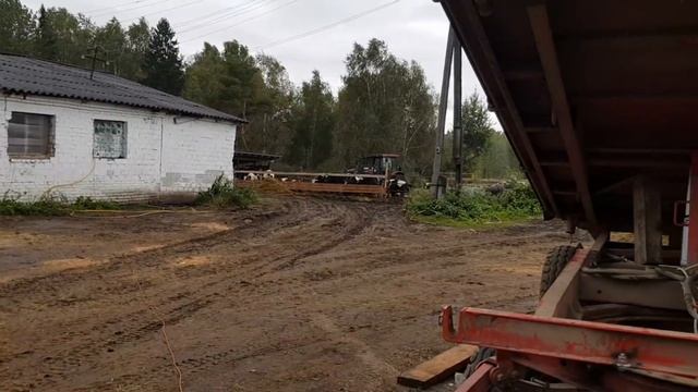 Новая кабина в Беларус МТЗ 82.1 телега PRONAR в строю ! УРА!!!