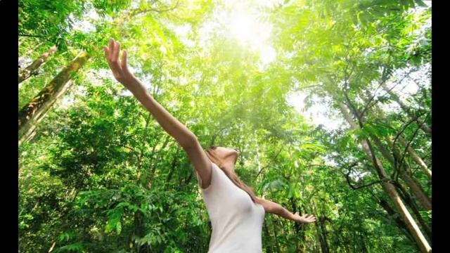 Советы психолога. Как начать жить заново и преодалеть кризис Тренинг смотреть онлайн