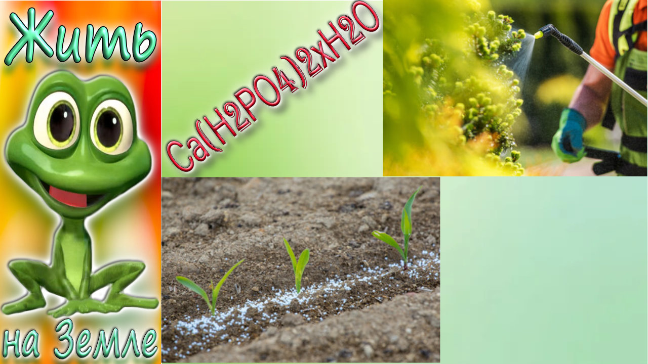 ДВОЙНОЙ СУПЕРФОСФАТ. Как сделать вытяжку из двойного суперфосфата.