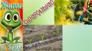 ДВОЙНОЙ СУПЕРФОСФАТ. Как сделать вытяжку из двойного суперфосфата.