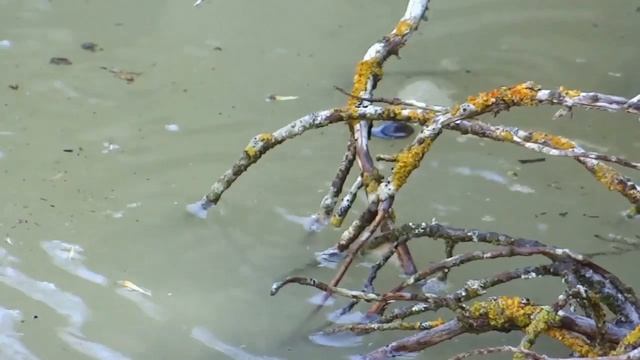 Никогда не дари это девушке, подарок "ошибка" от мужчины женщине смотреть онлайн