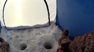 ловля плотвы зимой на болтушку  манку