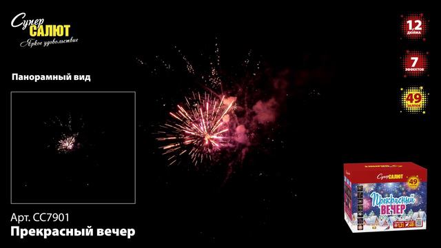 СС7901_2024 смотреть онлайн