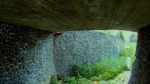 ЛОВЛЯ НА ЛИЧИНКУ СТРЕКОЗЫ