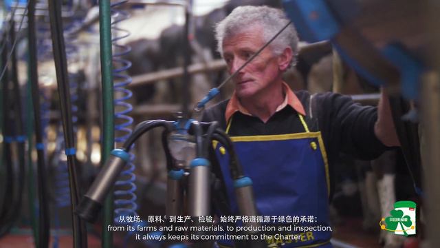 Beingmate Green Love - Chinese Baby Formula смотреть онлайн